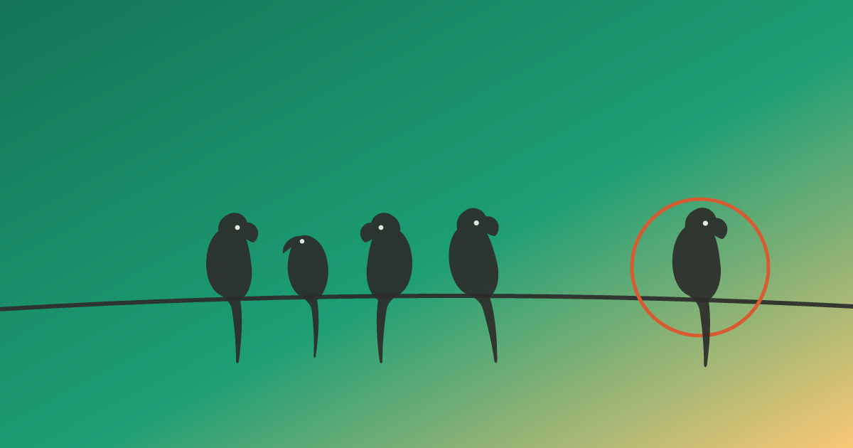 Five parrot silhouettes perched on a wire, one apart inside a coral ring