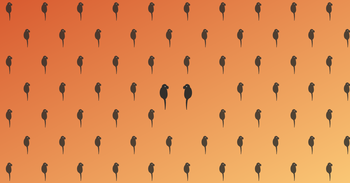 A calm grid of small parrot silhouettes, all facing one way, except two in the middle turned to face each other